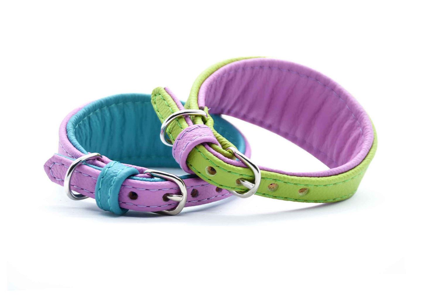 MINI BASIC- Breites Windhundhalsband für Kleinhunde/ Italienische Windspiele