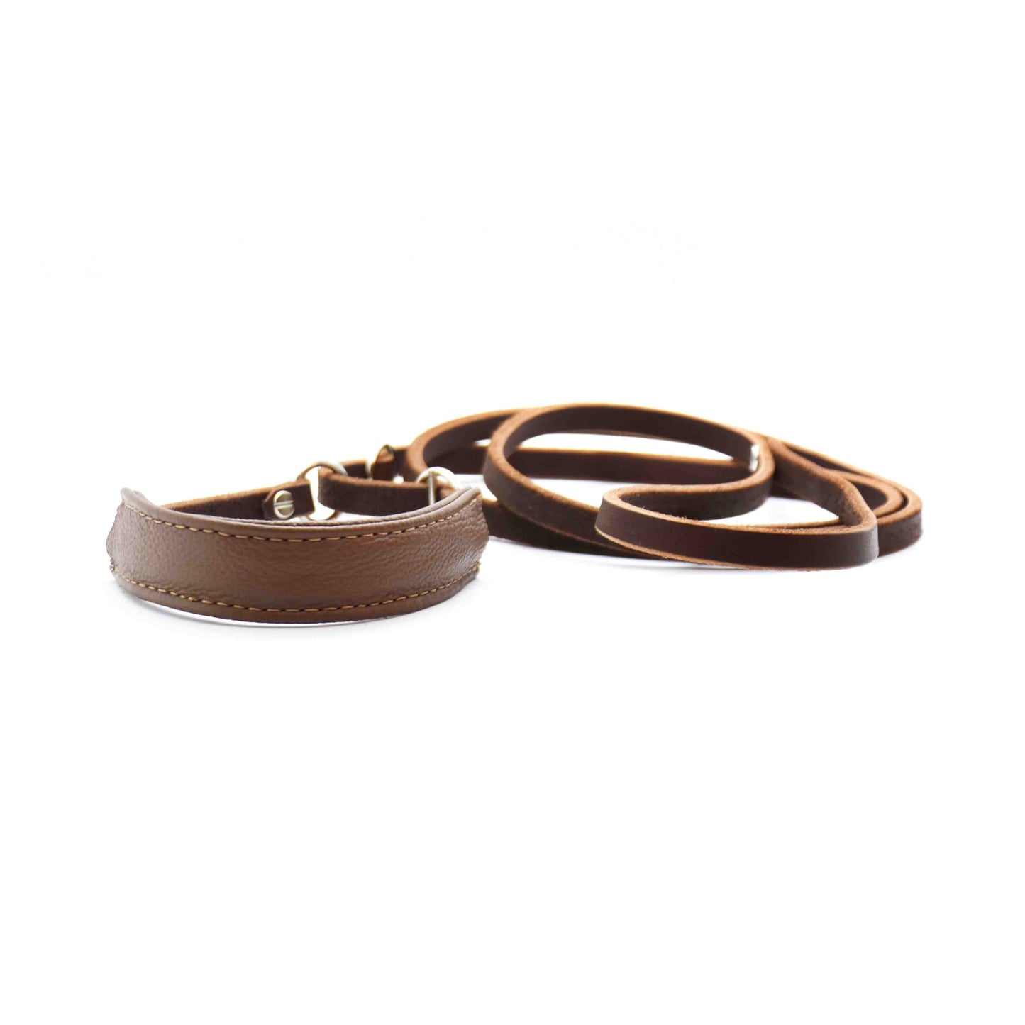 Showleine mit Kehlkopfschutz • Ausstellungsleine für Hundeshows