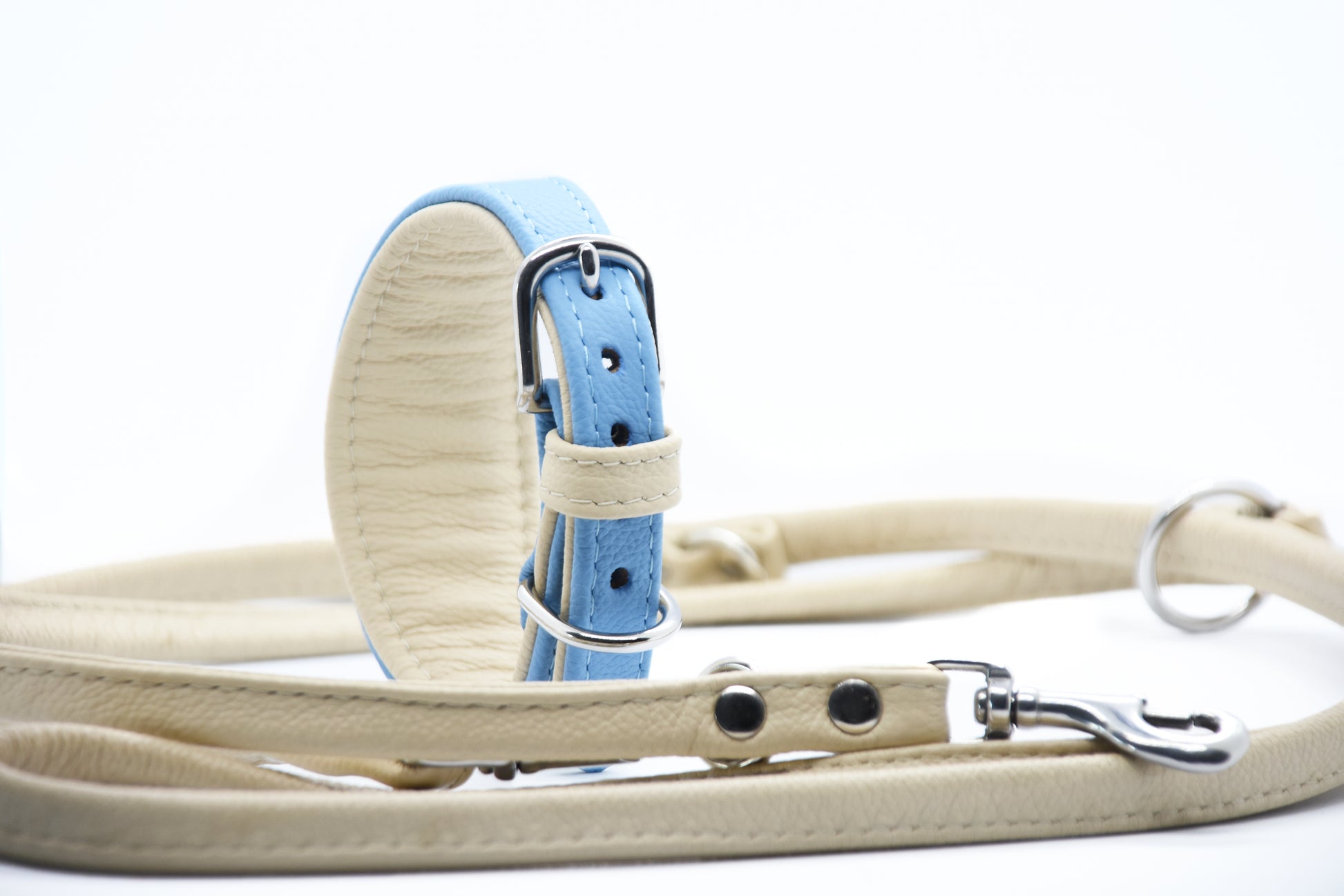 Hochwertiges Hundeset für Windhunde – individuell anpassbar