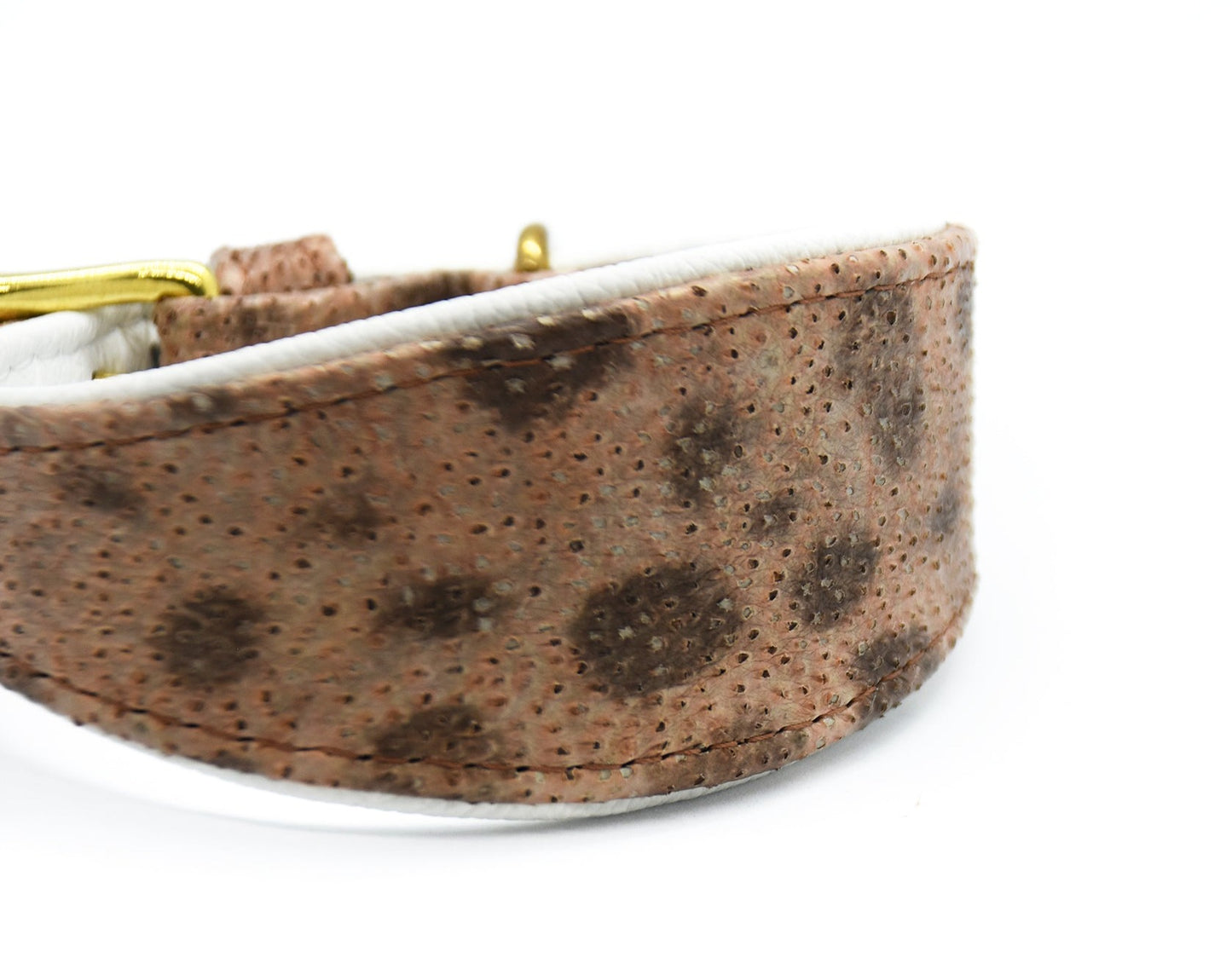 STEINBEIßER Halsband・Einzigartiges Fischleder-Halsband für Windhunde