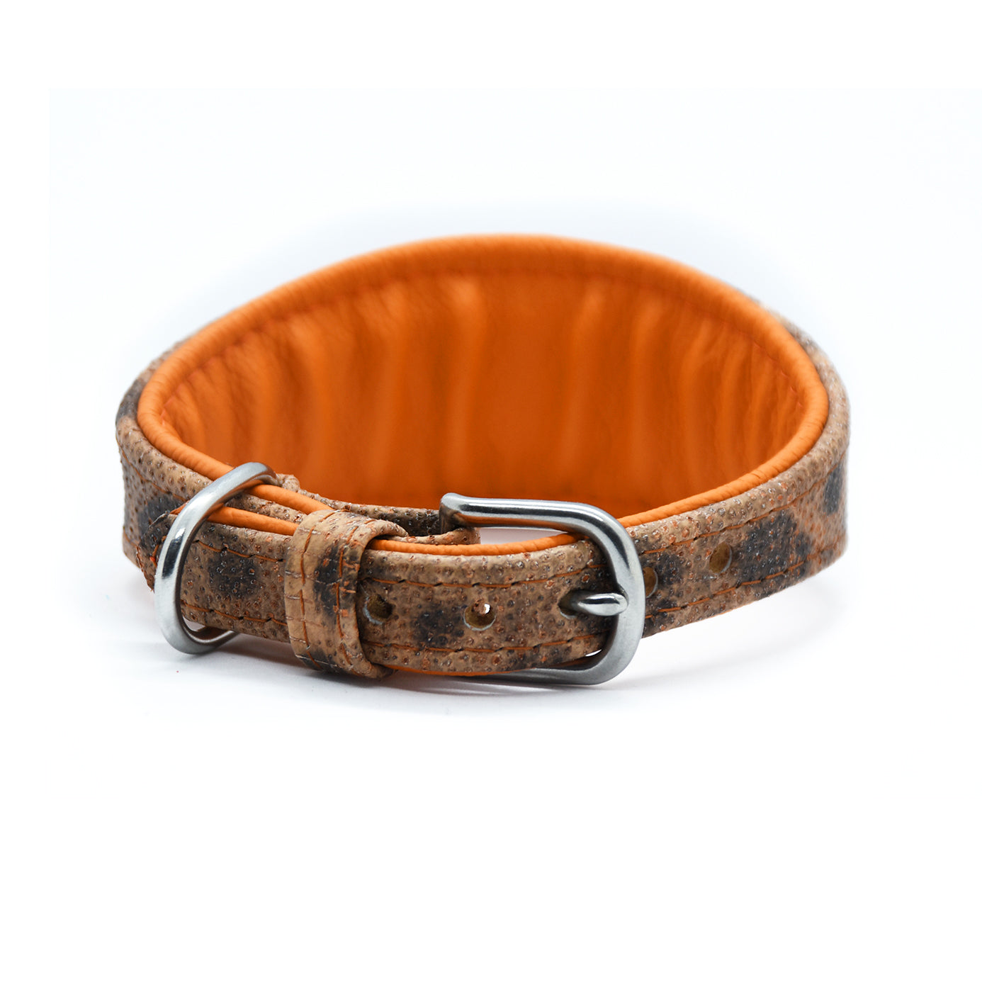 STEINBEIßER Halsband・Einzigartiges Fischleder-Halsband für Windhunde