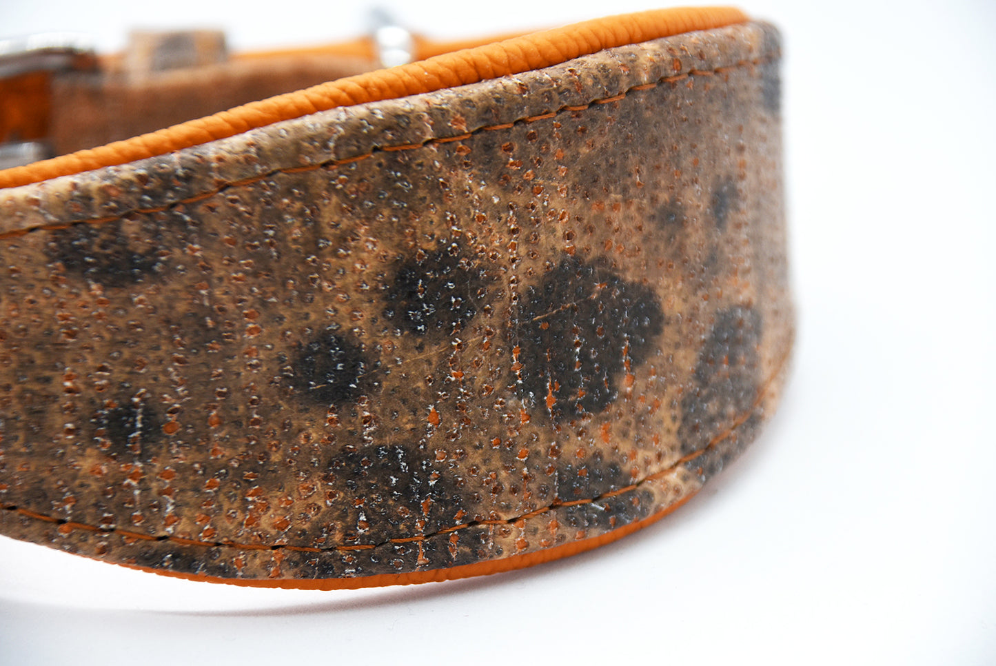 STEINBEIßER Halsband・Einzigartiges Fischleder-Halsband für Windhunde