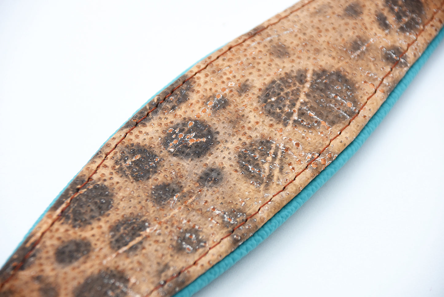 STEINBEIßER Halsband・Einzigartiges Fischleder-Halsband für Windhunde