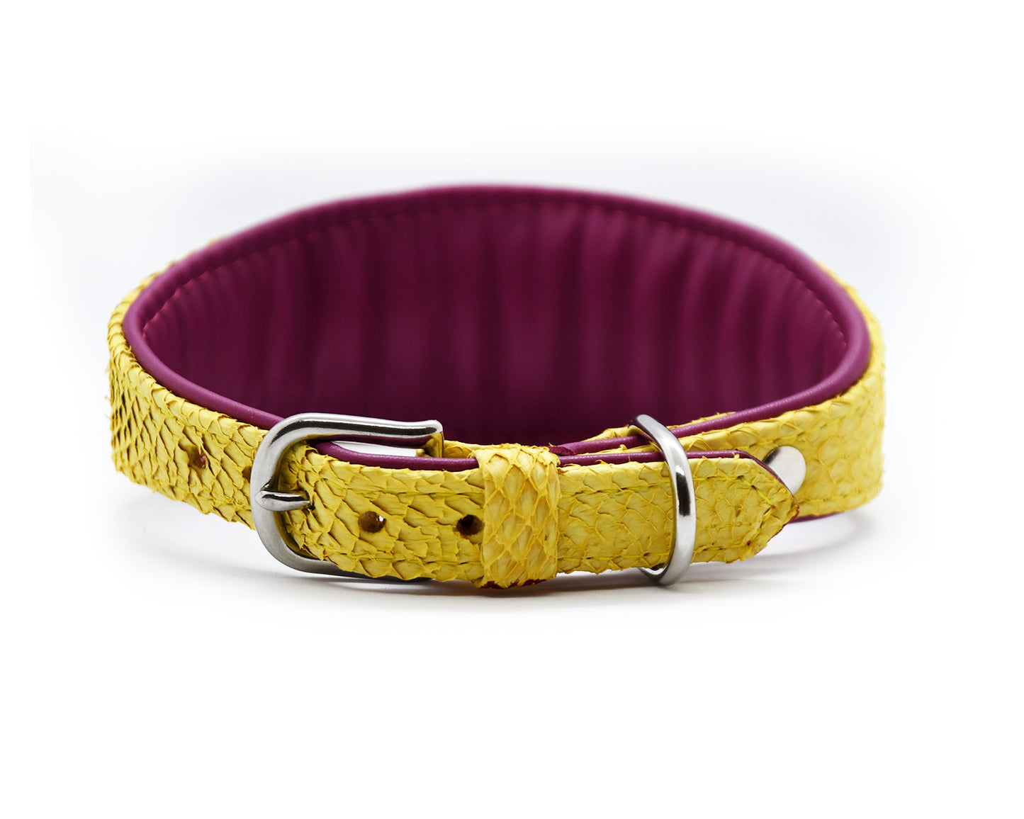 LACHSLEDER Halsband・Einzigartiges Windhundhalsband aus Fischleder