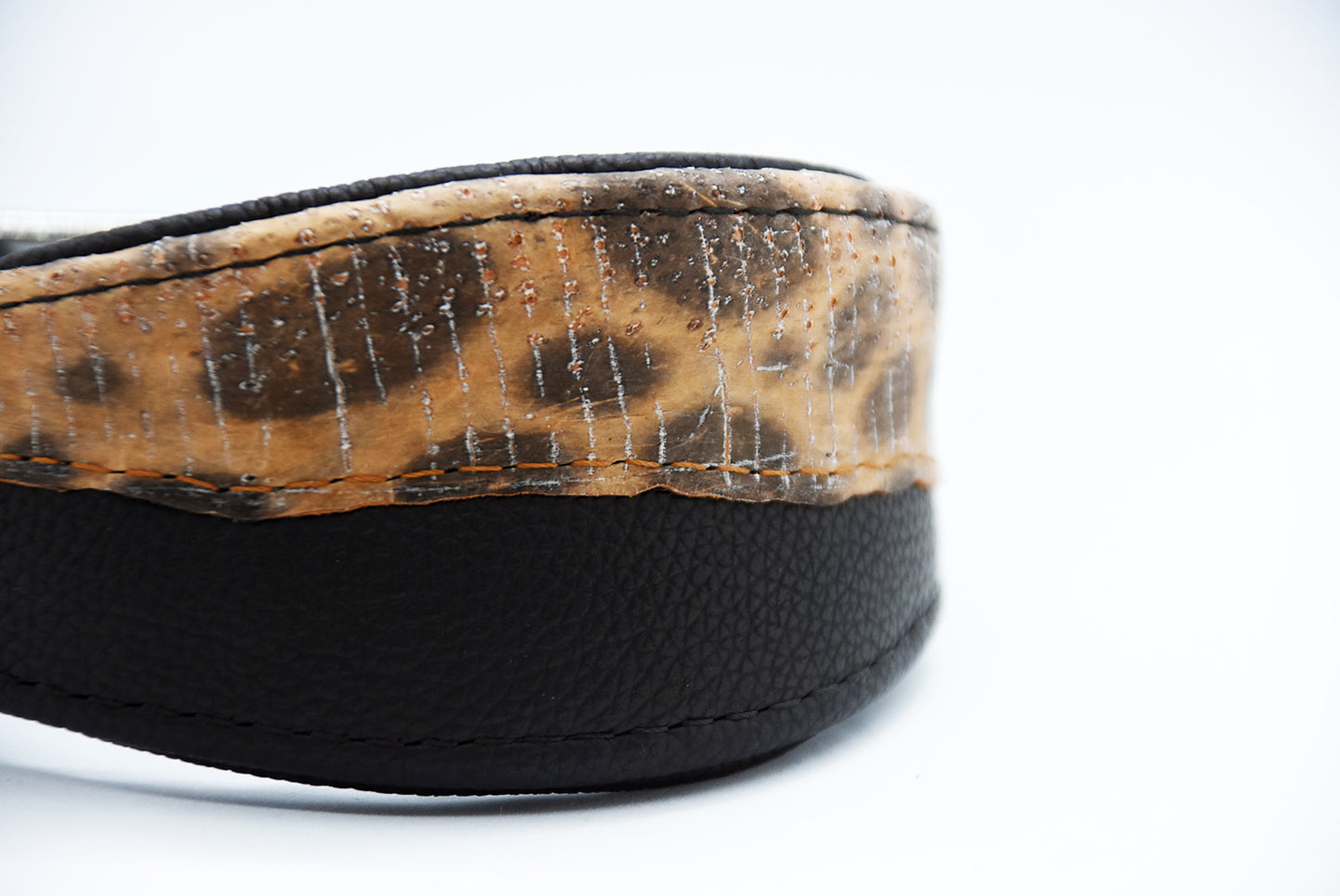 #3 STEINBEIßER 🐟 schwarz 26-30cm