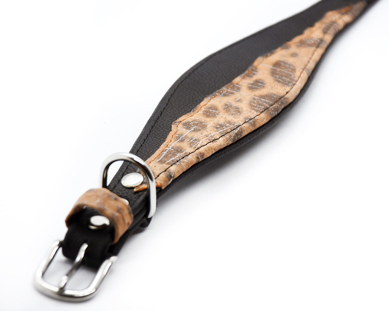 #3 STEINBEIßER 🐟 schwarz 26-30cm