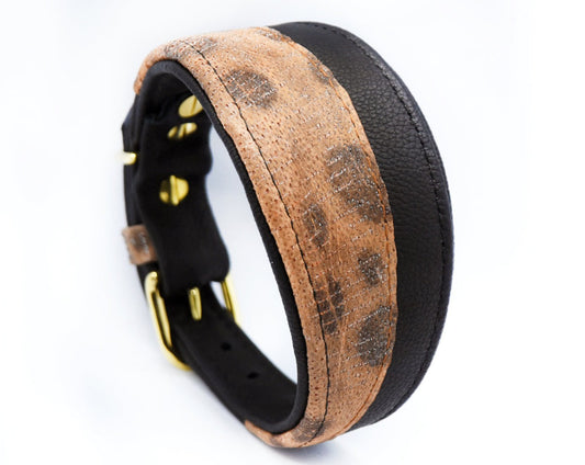 #4 STEINBEIßER 🐟 schwarz 30-35cm