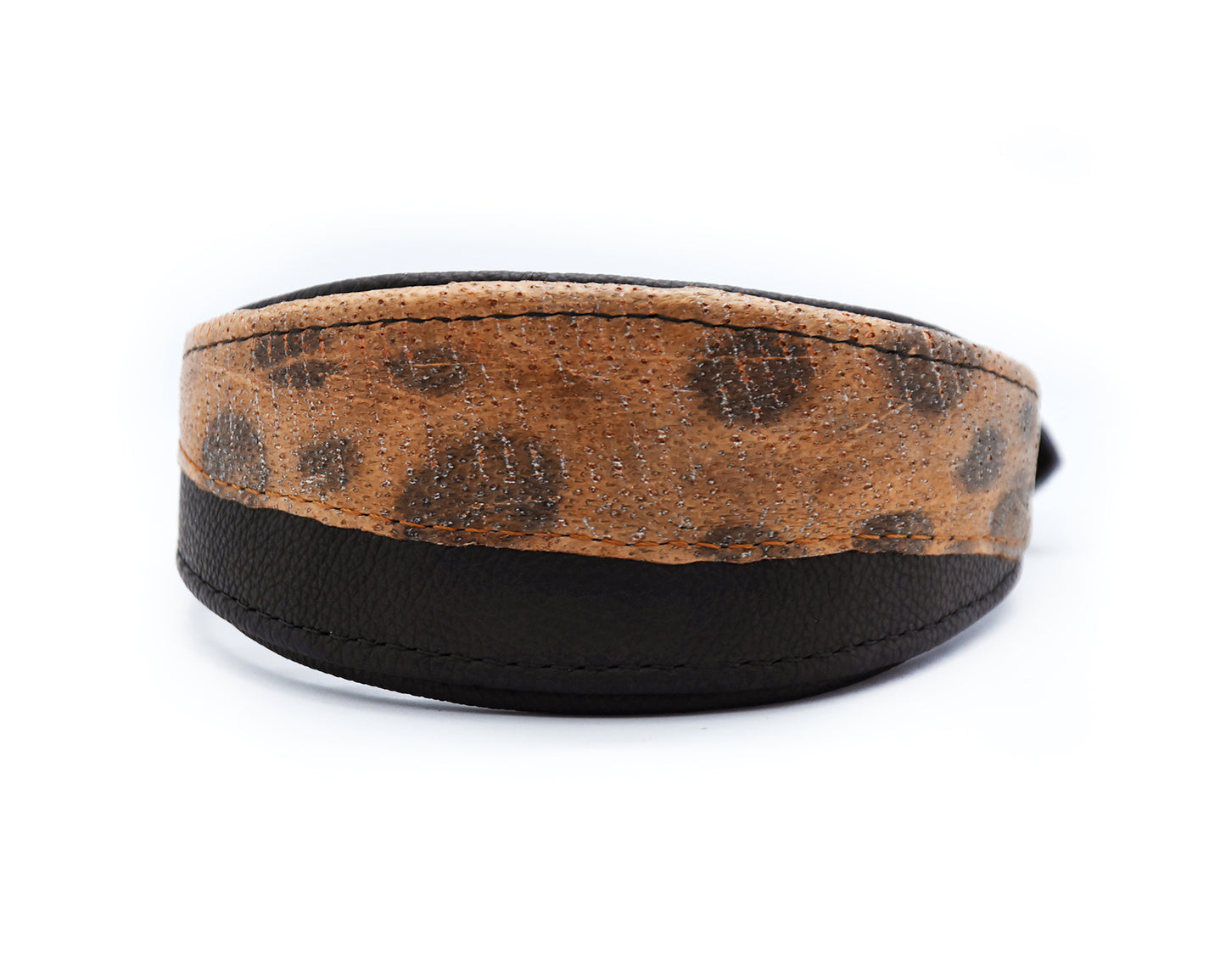 #4 STEINBEIßER 🐟 schwarz 30-35cm