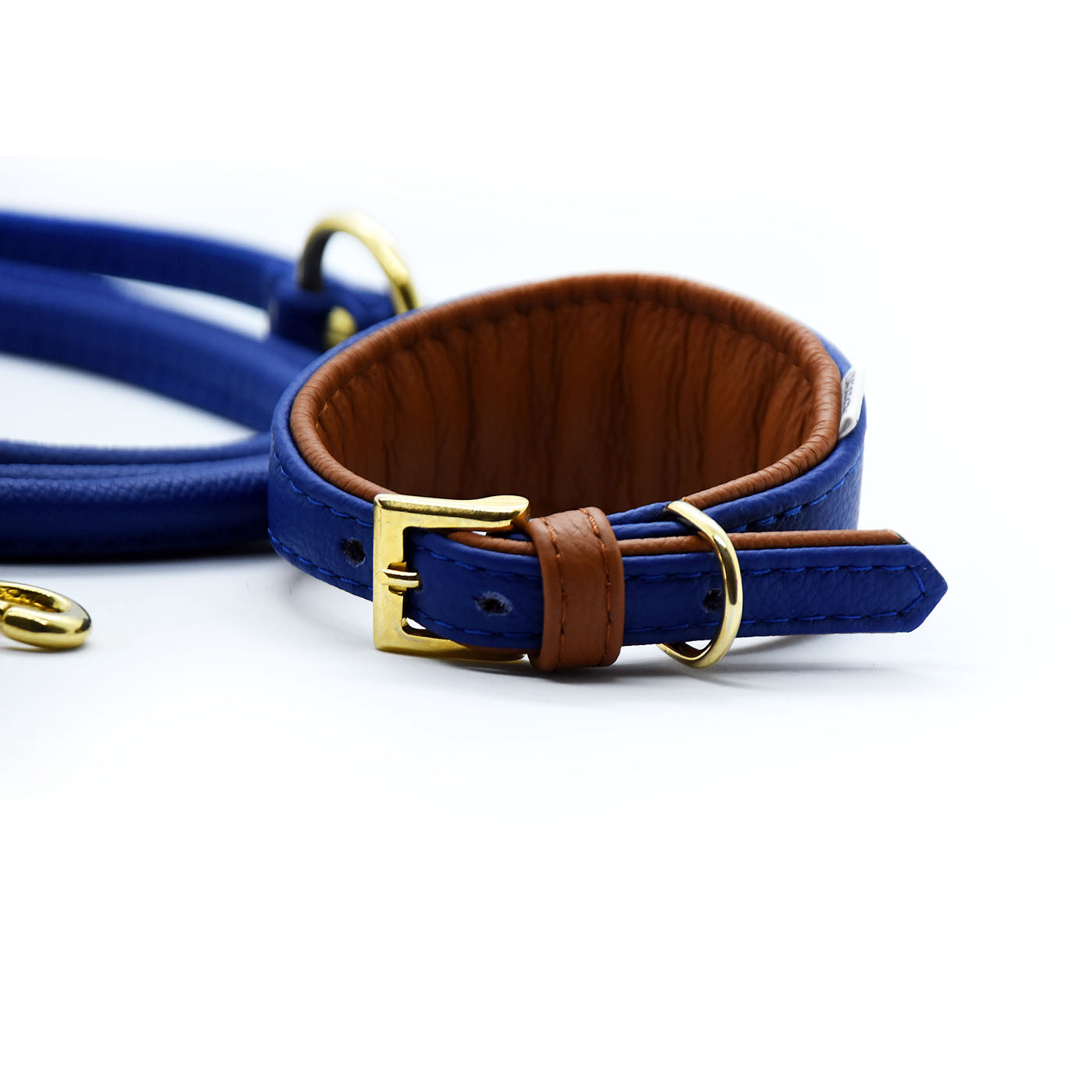 MINI BASIC- Breites Windhundhalsband für Kleinhunde/ Italienische Windspiele