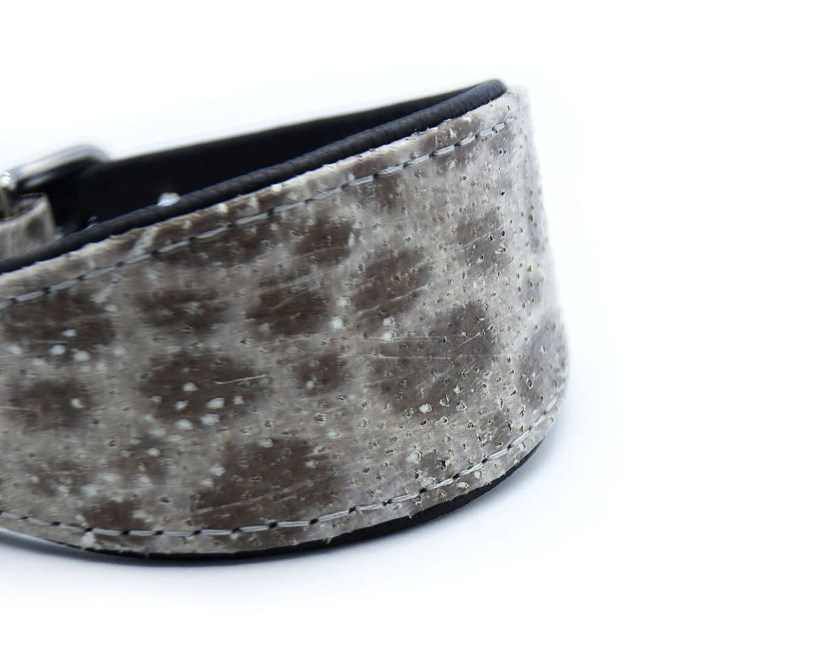 STEINBEIßER Halsband | Einzigartiges Fischleder-Halsband für Windhunde