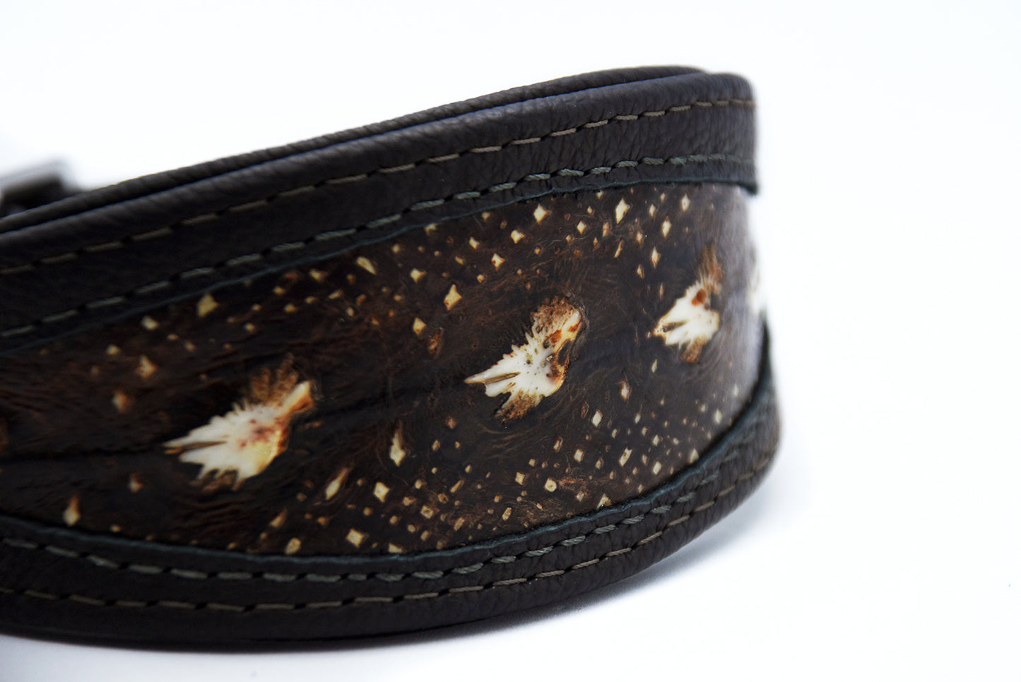 STÖRLEDER Halsband・exklusiv・Einzigartiges Windhundhalsband aus Störleder