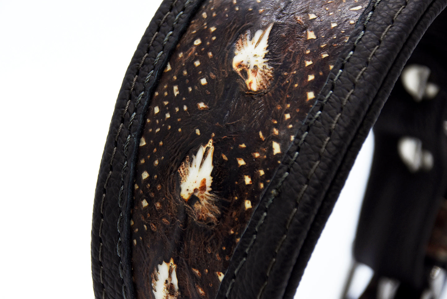 STÖRLEDER Halsband・exklusiv・Einzigartiges Windhundhalsband aus Störleder