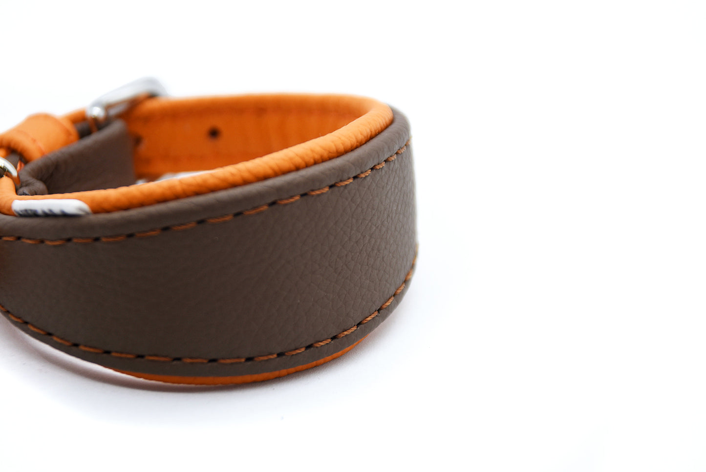 MINI BASIC- Breites Windhundhalsband für Kleinhunde/ Italienische Windspiele