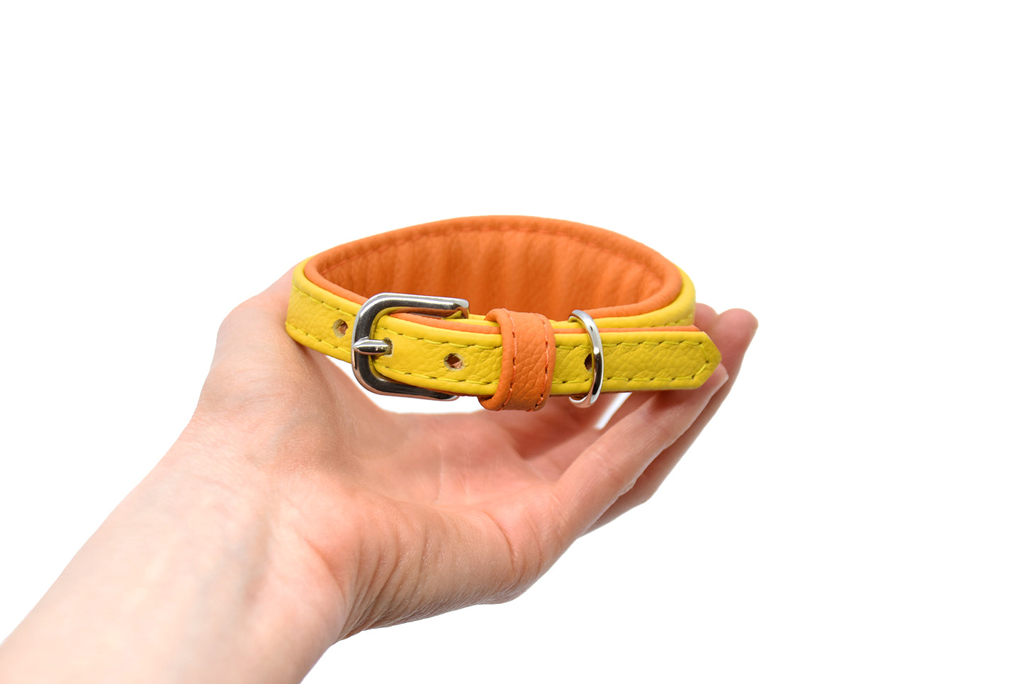 MINI BASIC- Breites Windhundhalsband für Kleinhunde/ Italienische Windspiele