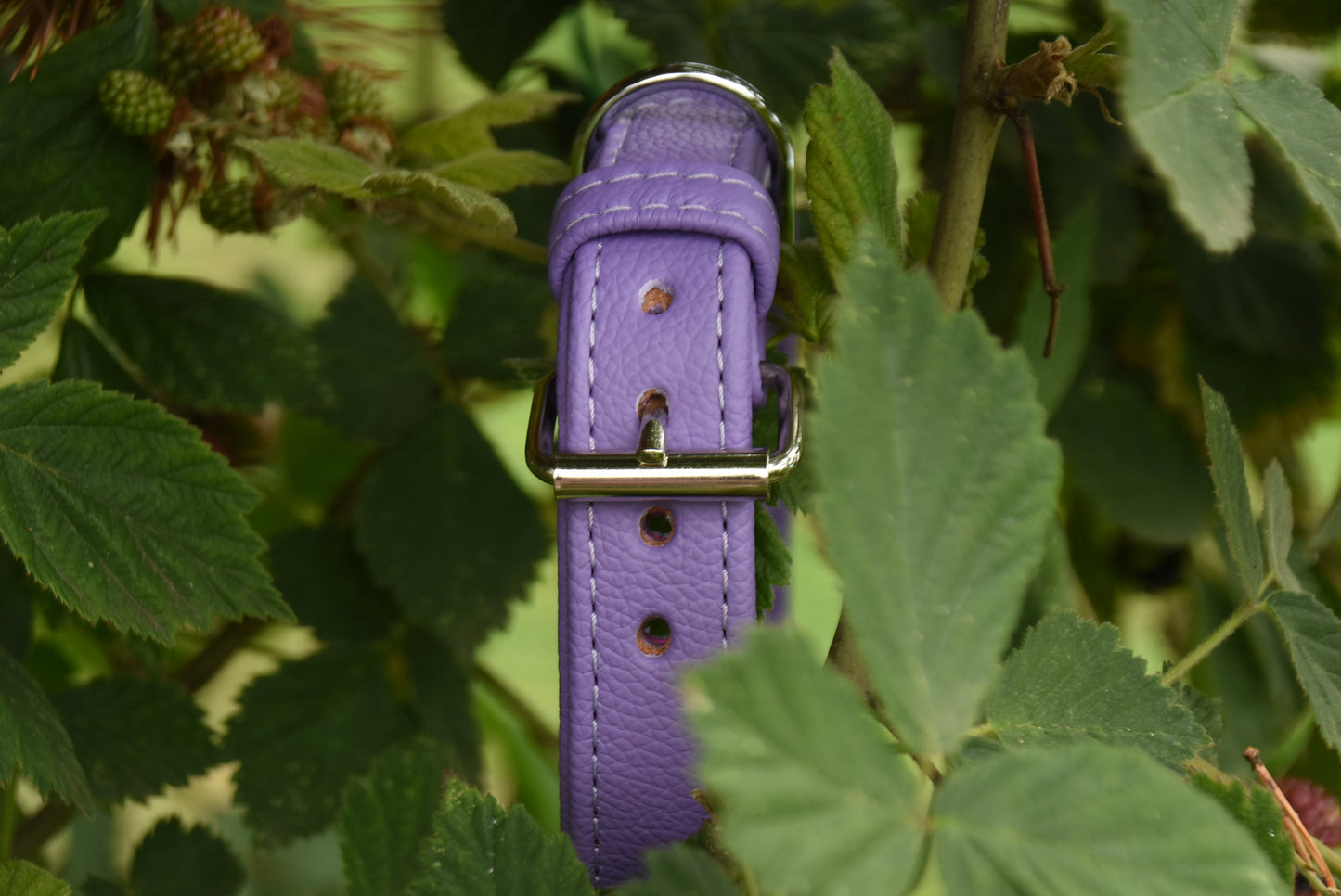 BASIC Hundehalsband schmal・Bio-Nappaleder・Maßgefertigtes Hundehalsband