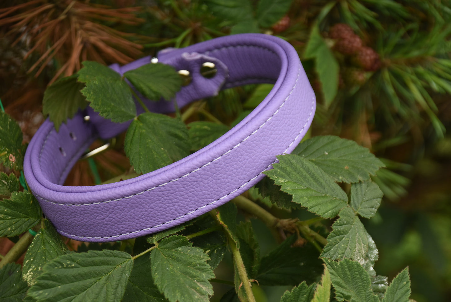 BASIC Hundehalsband schmal・Bio-Nappaleder・Maßgefertigtes Hundehalsband