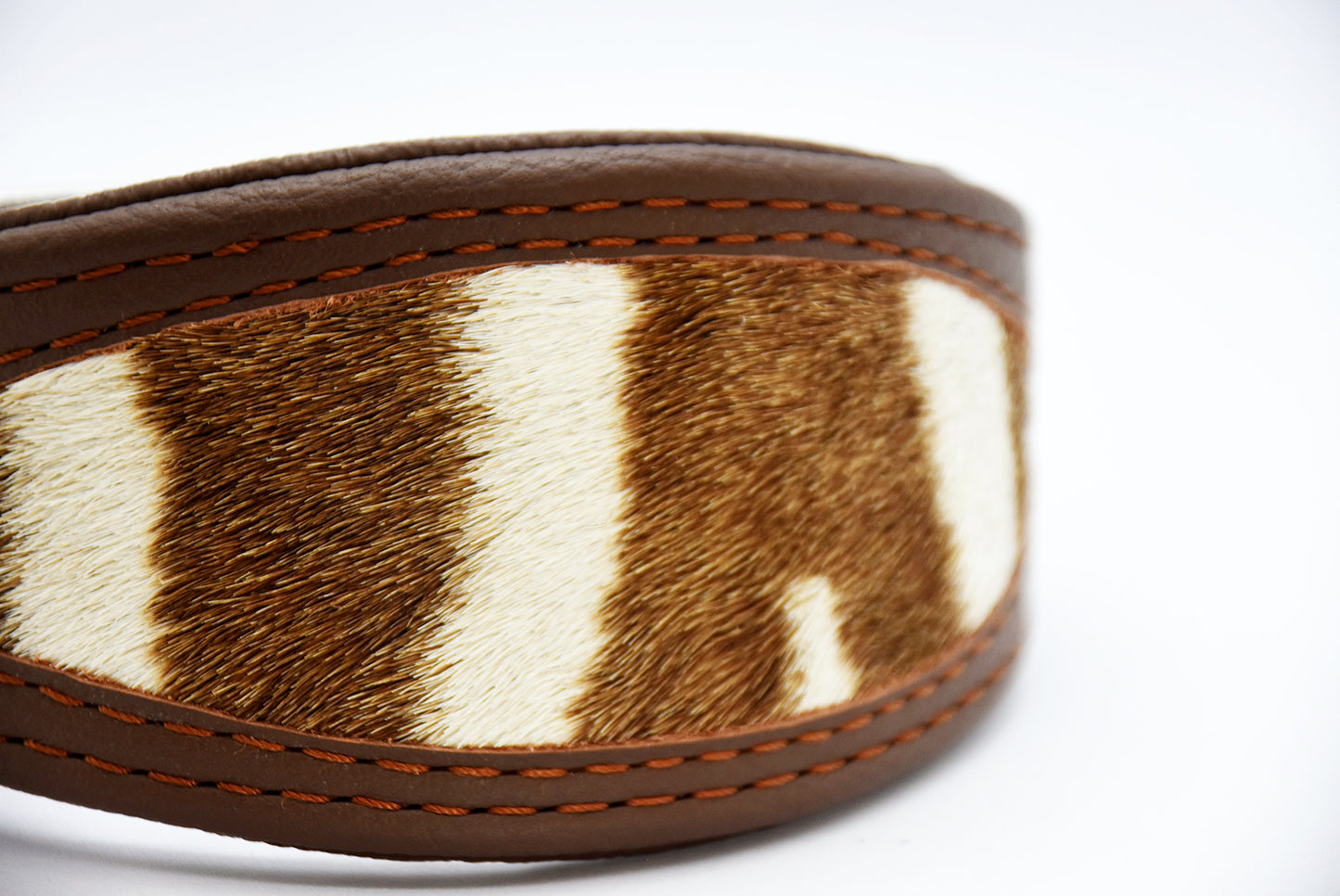 ZEBRAFELL Halsband・exotisches Windhundhalsband aus Zebrafell und Nappaleder