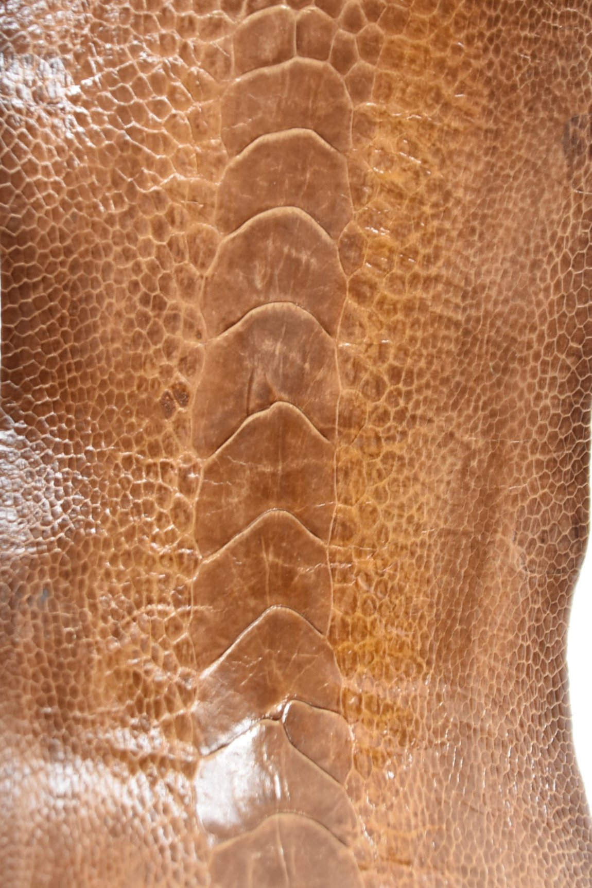 Straußenbeinleder braun