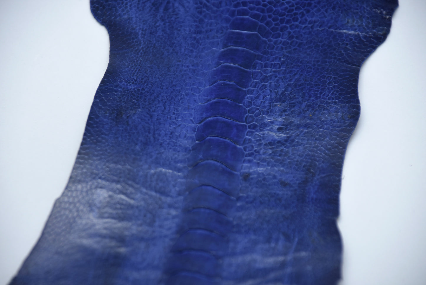 Straußenbeinleder blau