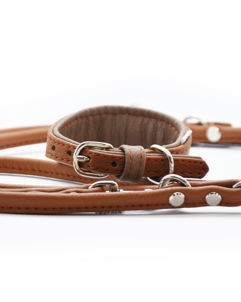 MINI Set・Halsband und Leine für Kleinhunde/ Italienische Windspiele