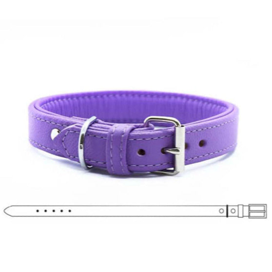 BASIC Hundehalsband schmal・Bio-Nappaleder・Maßgefertigtes Hundehalsband