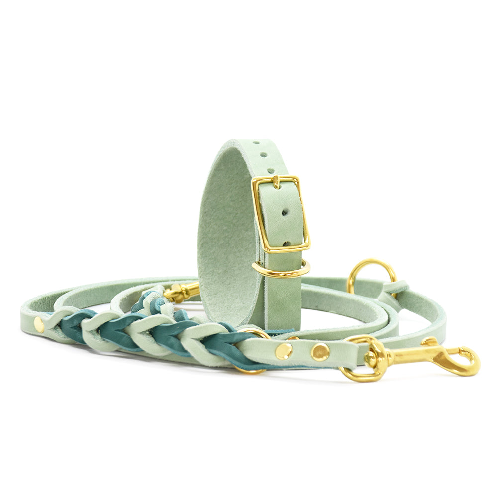 Set FETTLEDER • Breites Windhundhalsband und geflochtene Leine