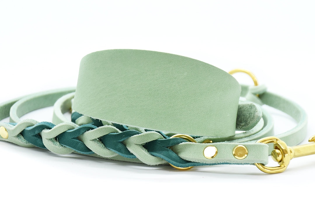 Set FETTLEDER • Breites Windhundhalsband und geflochtene Leine