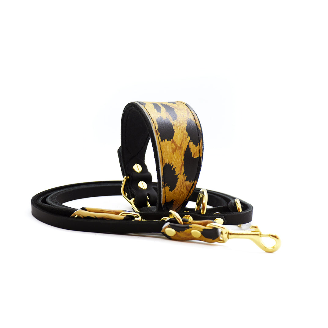 Windhundleine aus schwarzem Fettleder mit stylischem Leomuster-Design