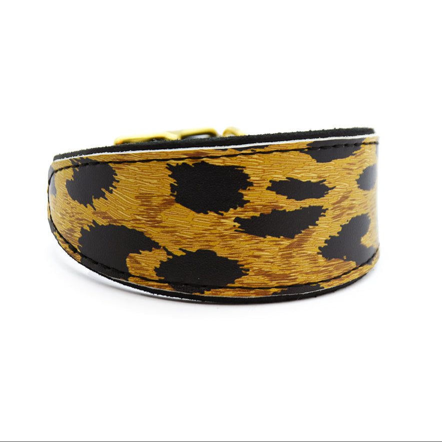 Hochwertiges Fettleder Windhundhalsband mit modischem Leomuster-Design