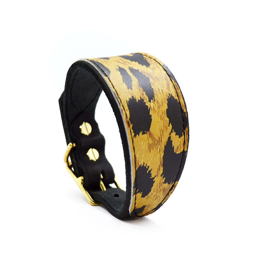 Hochwertiges Windhund-Set aus schwarzem Fettleder mit Leomuster-Design