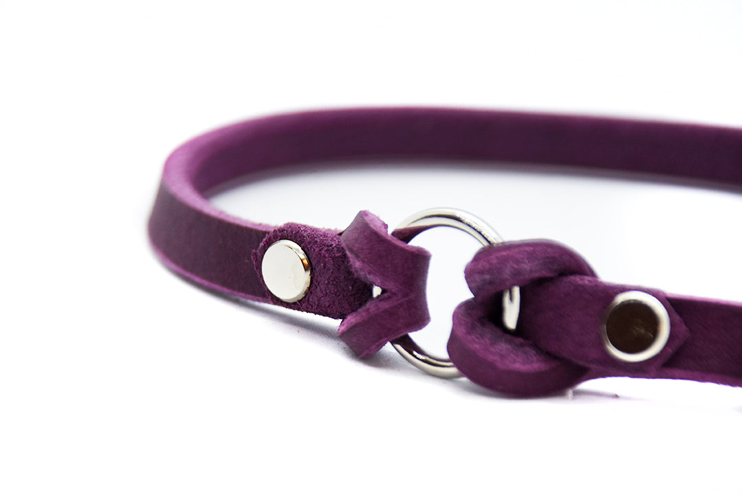 Nahaufnahme eines handgefertigten Markenhalsbands aus butterweichem Fettleder für Hunde.