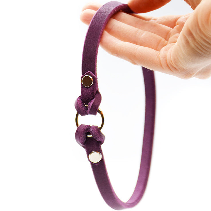 individuell gefertigtes Fettleder-Halsband – perfekt für Freilauf und Hundemarke.