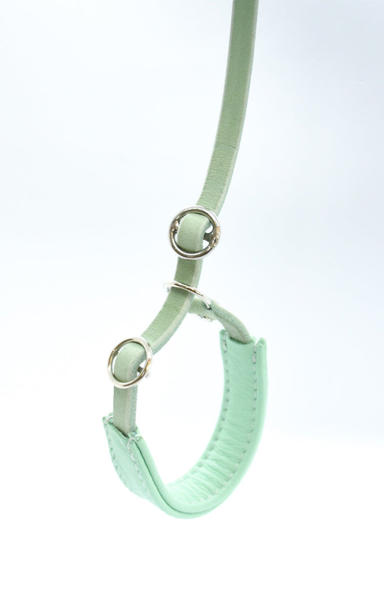 Showleine mit Kehlkopfschutz • Ausstellungsleine für Hundeshows