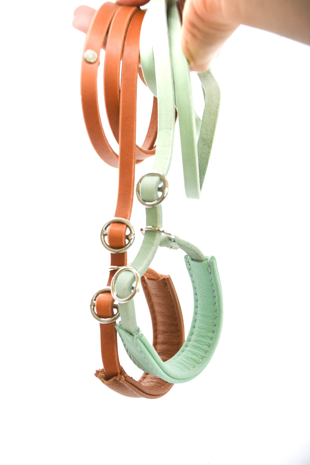 Showleine mit Kehlkopfschutz • Ausstellungsleine für Hundeshows