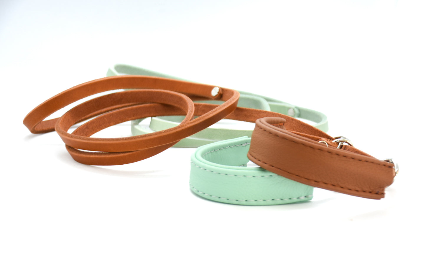 Showleine mit Kehlkopfschutz • Ausstellungsleine für Hundeshows