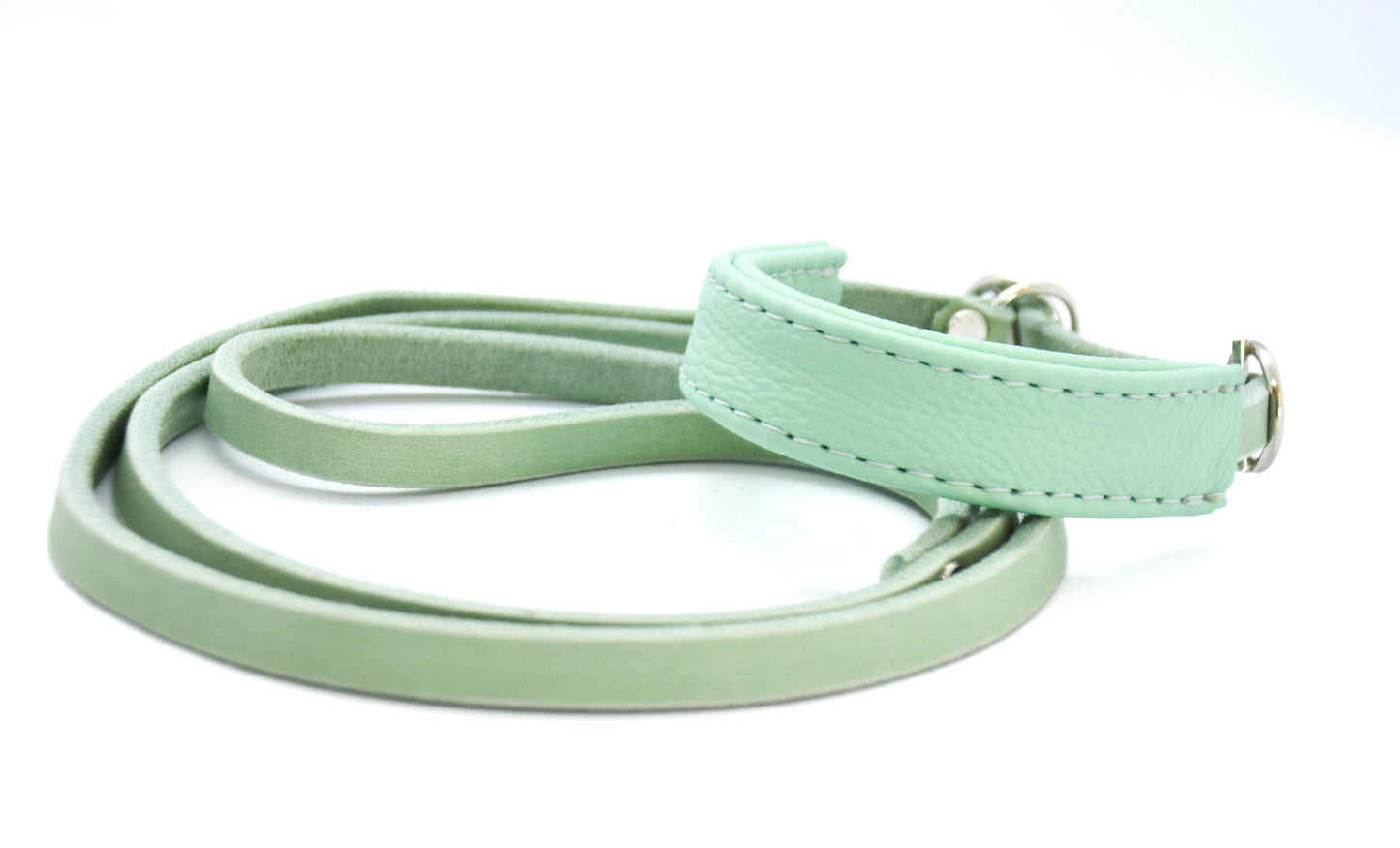 Showleine mit Kehlkopfschutz • Ausstellungsleine für Hundeshows