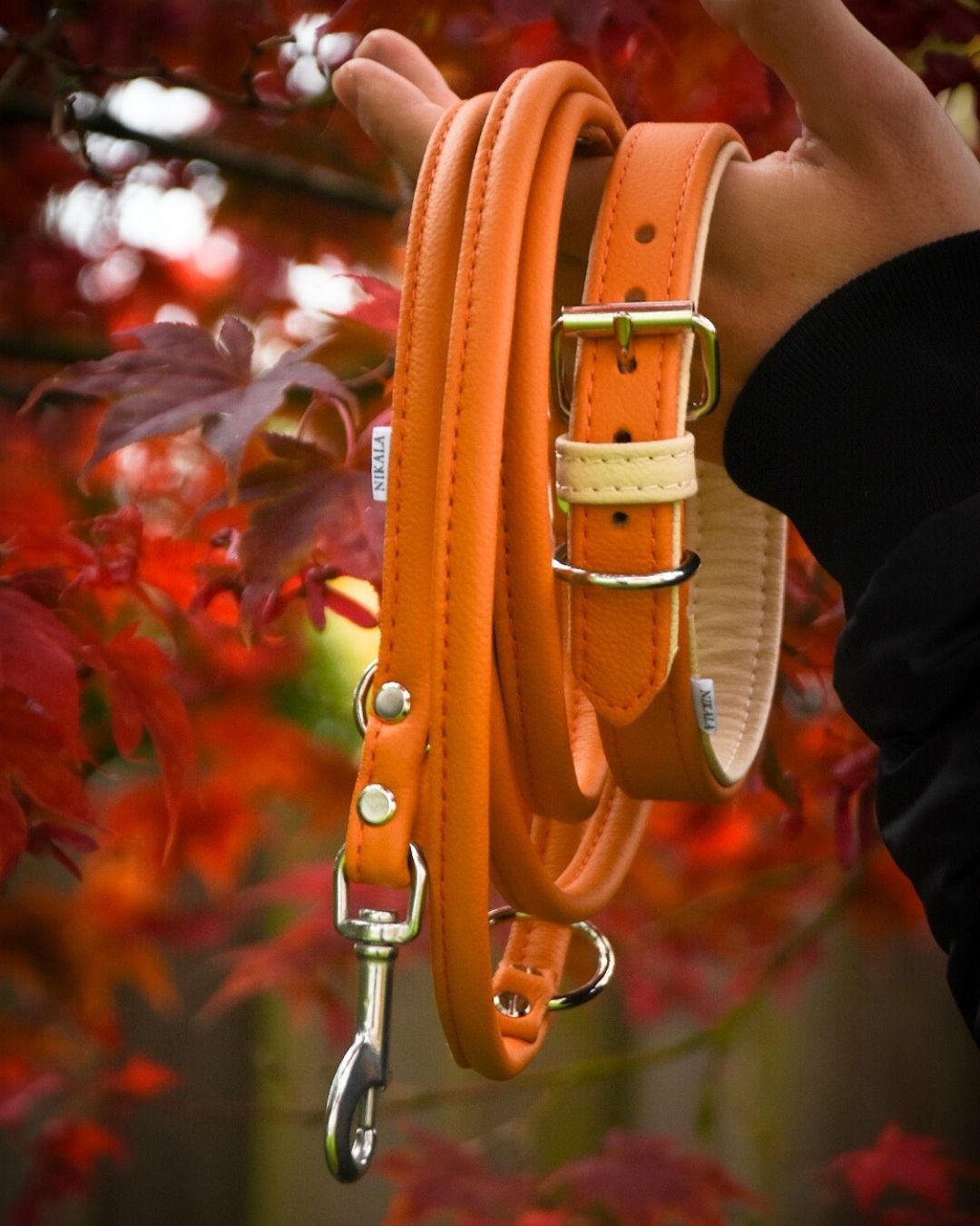 BASIC Hundehalsband schmal・Bio-Nappaleder・Maßgefertigtes Hundehalsband