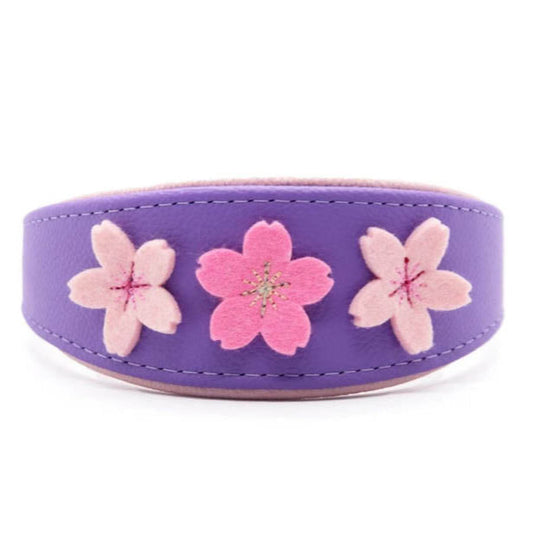 SAKURA Windhundhalsband aus Leder ❀ Gepolstertes Halsband mit Filzblüten
