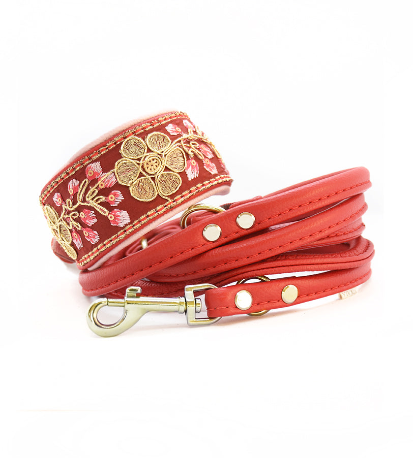 Leder Windhundset aus Sari Halsband und Leine