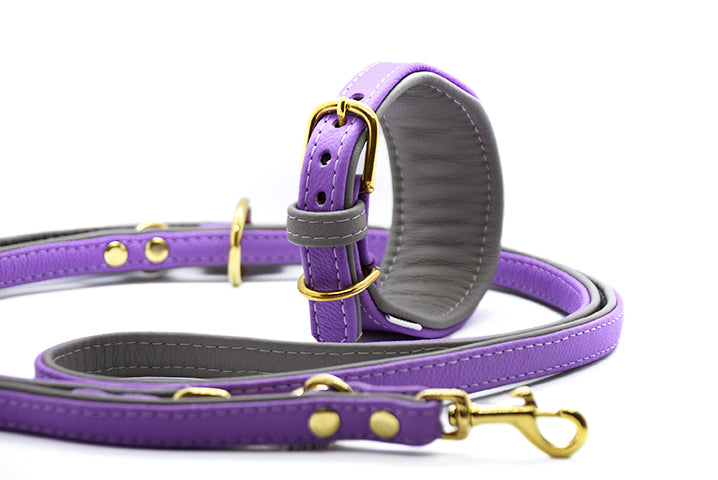 Premium BICOLOR Windhund Set aus Leder • Halsband & Leine handgemacht