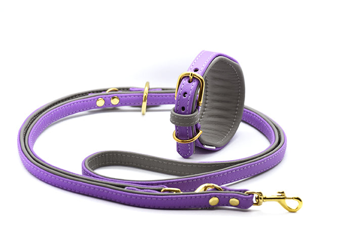 Premium BICOLOR Windhund Set aus Leder • Halsband & Leine handgemacht
