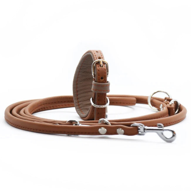 MINI Set・Halsband und Leine für Kleinhunde/ Italienische Windspiele