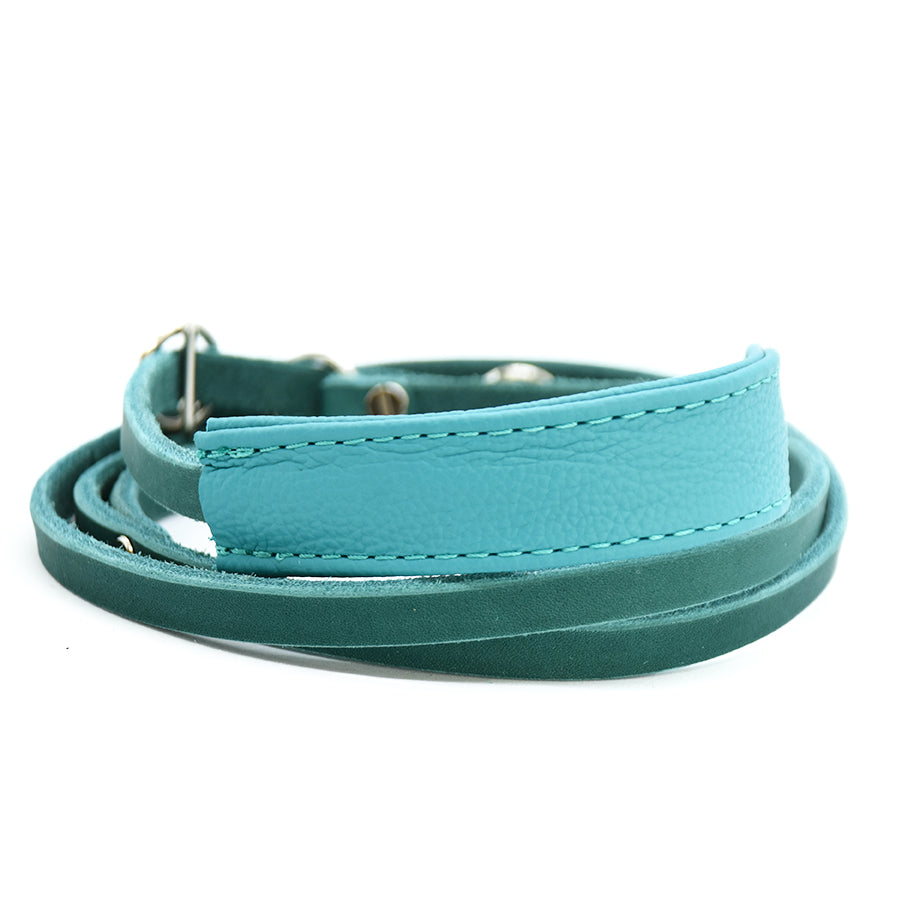 Showleine mit Kehlkopfschutz • Ausstellungsleine für Hundeshows