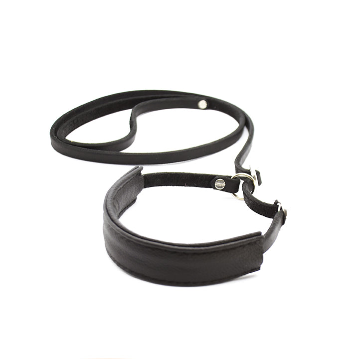 Showleine mit Kehlkopfschutz • Ausstellungsleine für Hundeshows