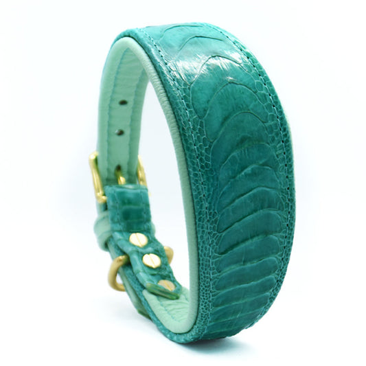 legantes Hundehalsband aus echtem Straußenbeinleder in edlem türkis und mint, sorgfältig von Hand gefertigt – ideal für große Hunderassen wie den Königspudel.