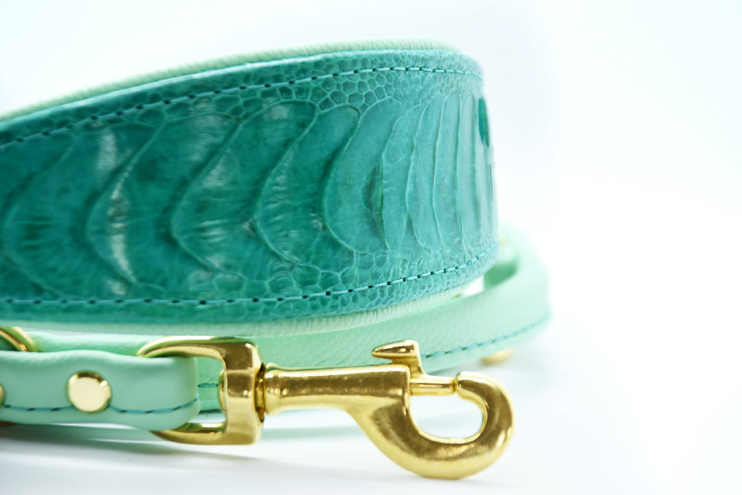 Halsband aus echtem Straußenbeinleder mit charakteristischer Schuppenstruktur und goldener Beschläge.