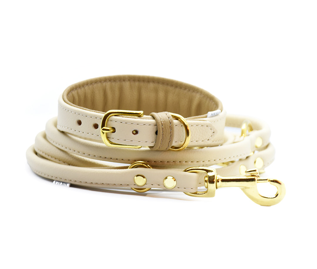 Windhundhalsband und Leine mit Messingbeschlägen und cremefarbenen Leder