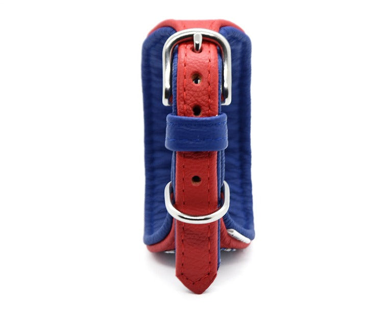 Lederhalsband in rot und blau, leuchtende Farben