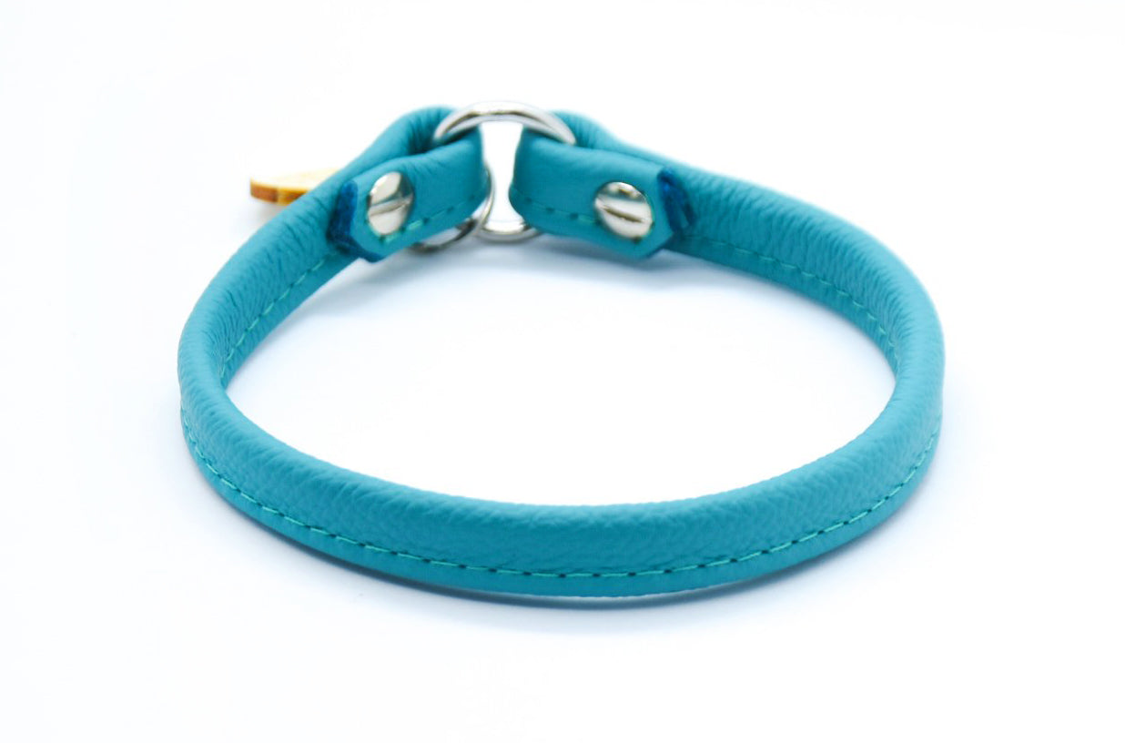 Nahaufnahme einfaches Markenhalsband aus Nappaleder für Windhund