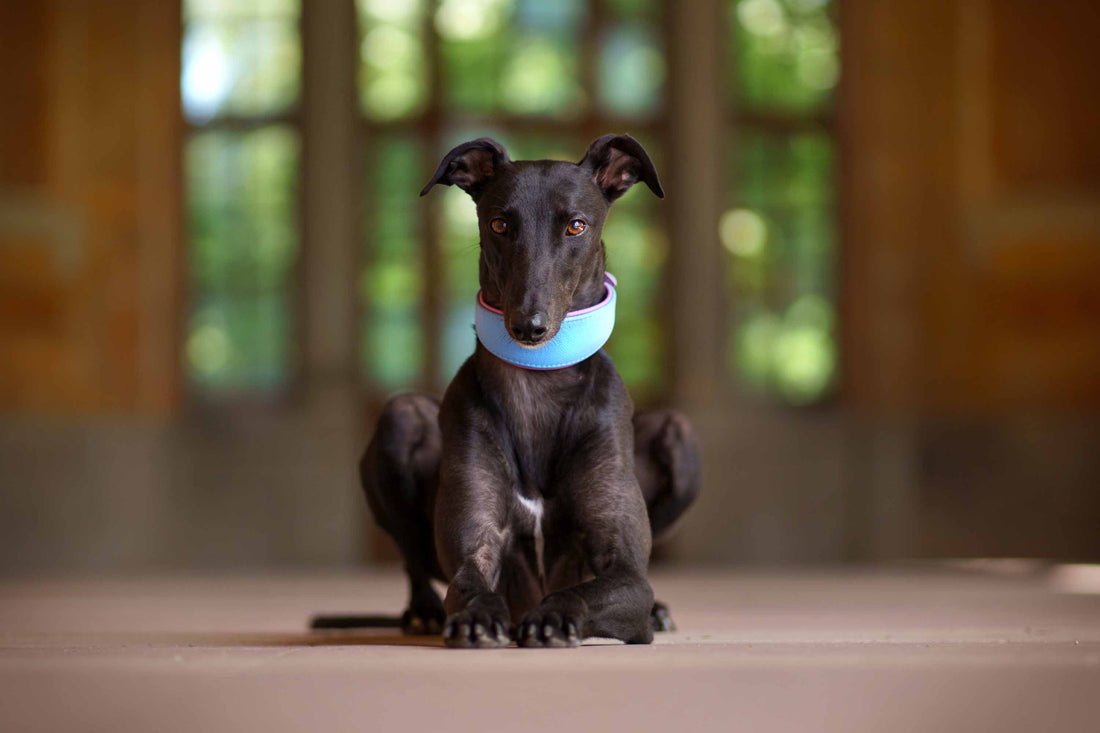 Mit Geschenk starten – dein 5 € Willkommensrabatt